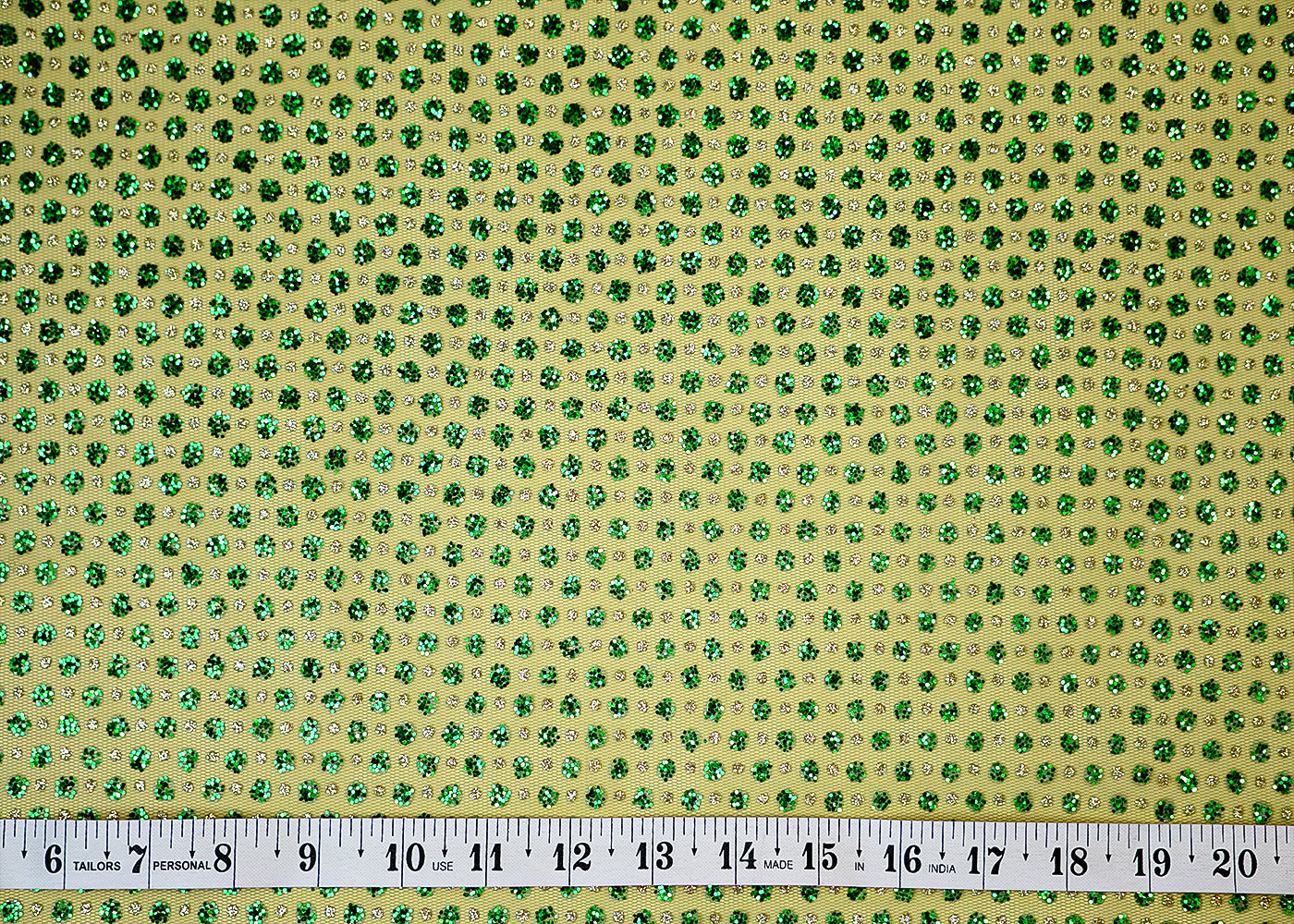 Green Net Fabric with Allover Glitter Work 13265