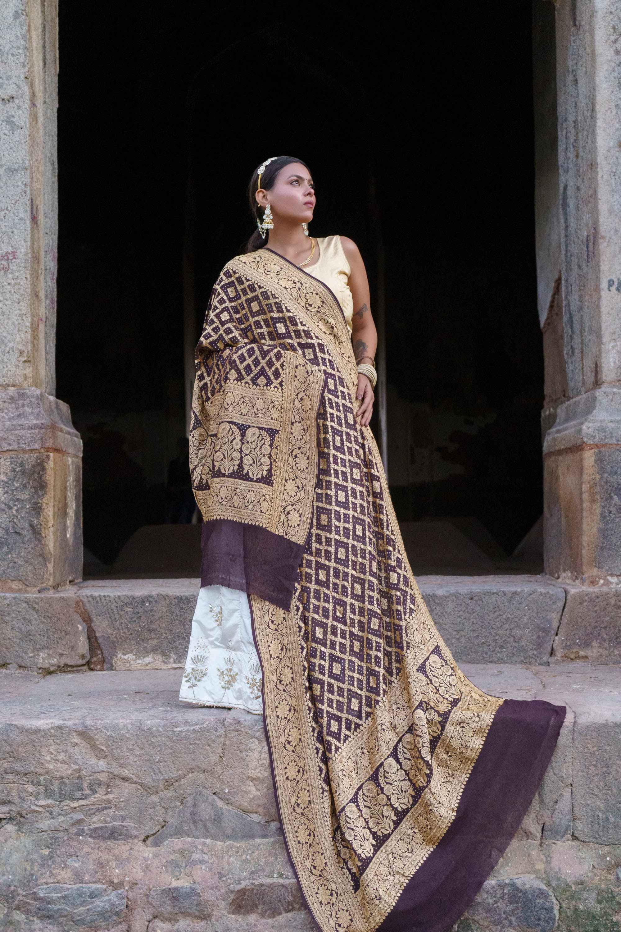 The Parampara - Brown Pure Georgette Bandhani Handloom Dupatta 18924
