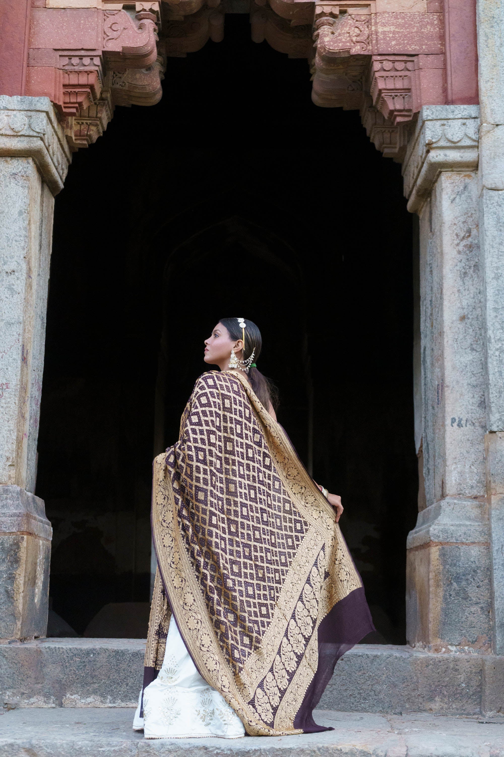The Parampara - Brown Pure Georgette Bandhani Handloom Dupatta 18924