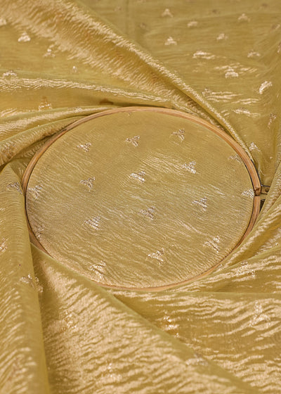 Light Golden Tissue Fabric With All Over Golden Zari Handloom 19149