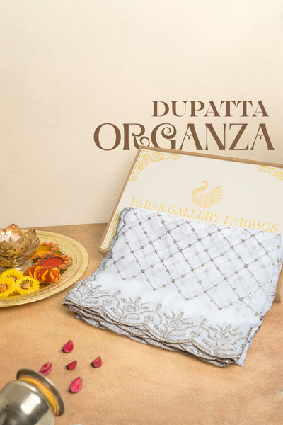 White Dyeable Organza Dupatta All Over Zari And Sequins Work 19295