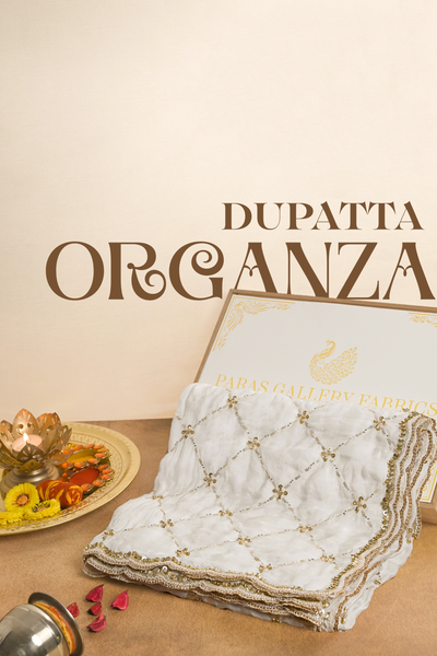 White Dyeable Organza Dupatta With All Over Bead, Sequins And Katdana Work 20708
