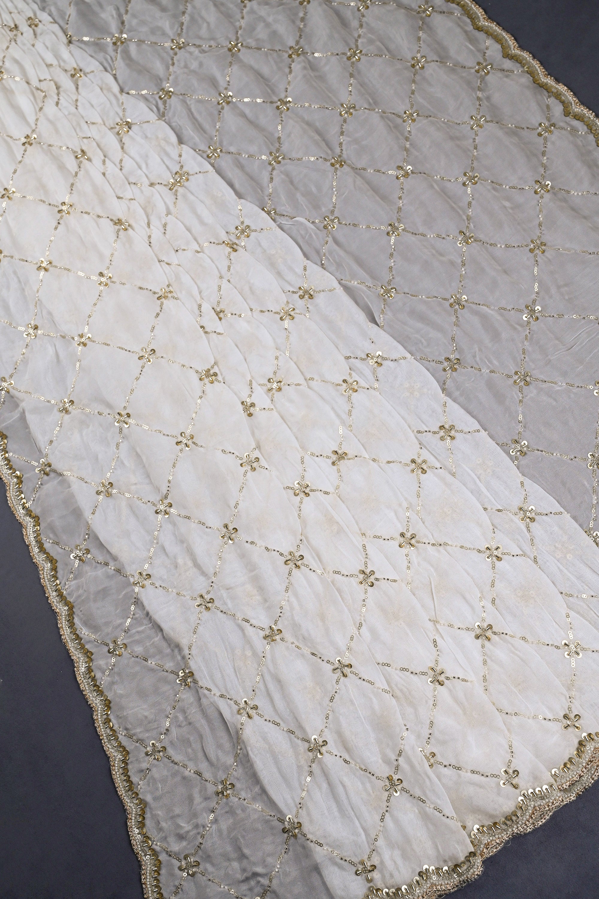 White-Organza-Dupatta-With-All-Over-Bead,-Sequins-And-Katdana-Work-20708-silhoutte-view