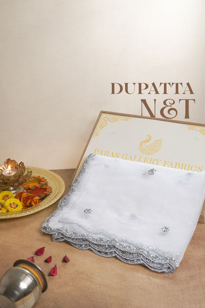 White Dyeable Net Dupatta All Over Zari, Sequins And Katdana Work 22180