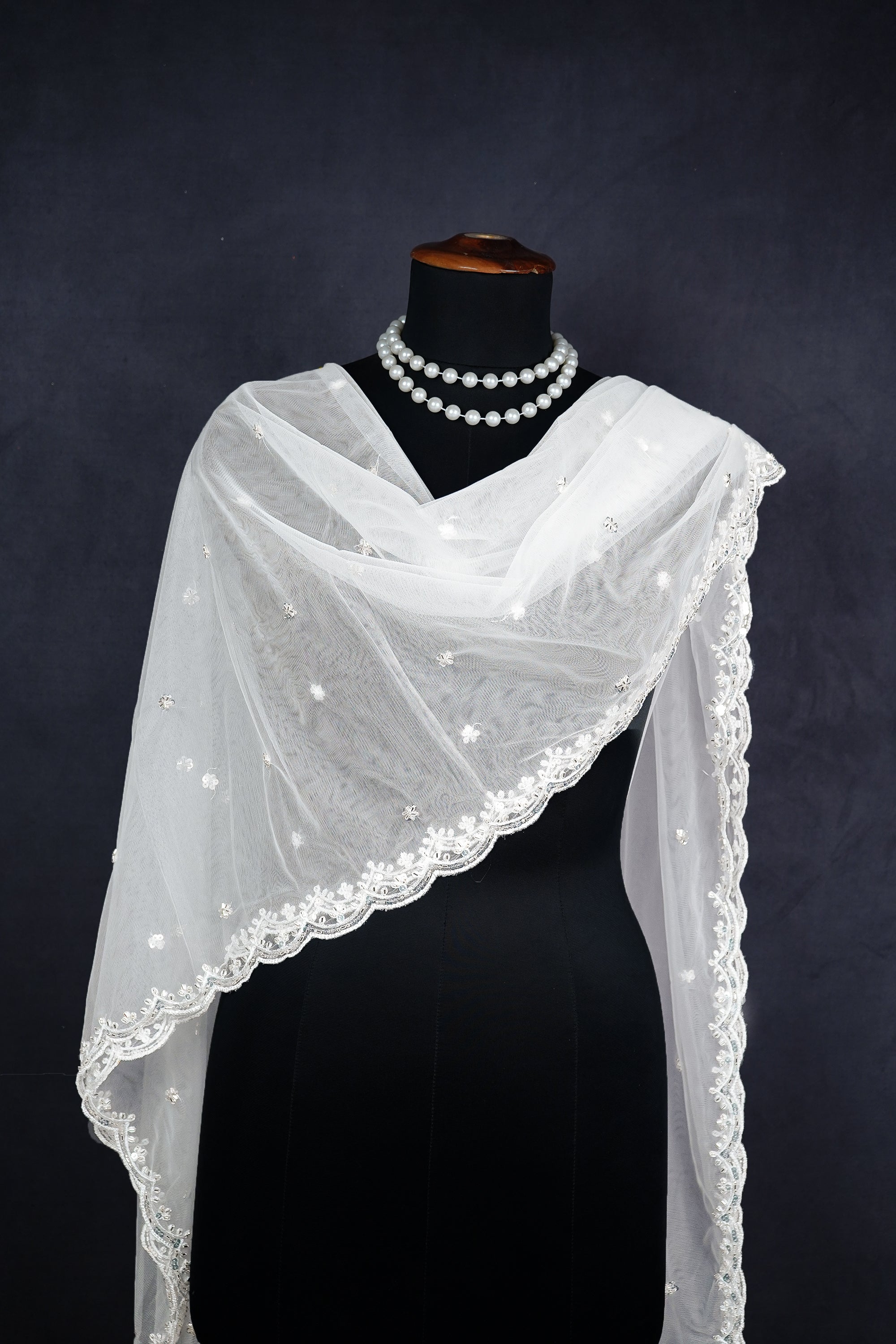 white-net-dupatta-with-all-over-katdana-and-sequins-22516-real-view