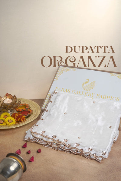 White Dyeable Organza Dupatta All Over Zari, Sequins And Katdana Work 22591