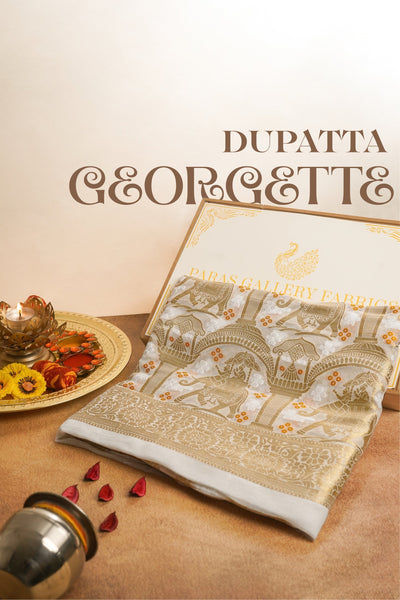 White Dyeable Banarasi Georgette Dupatta All Over Zari Work 24607