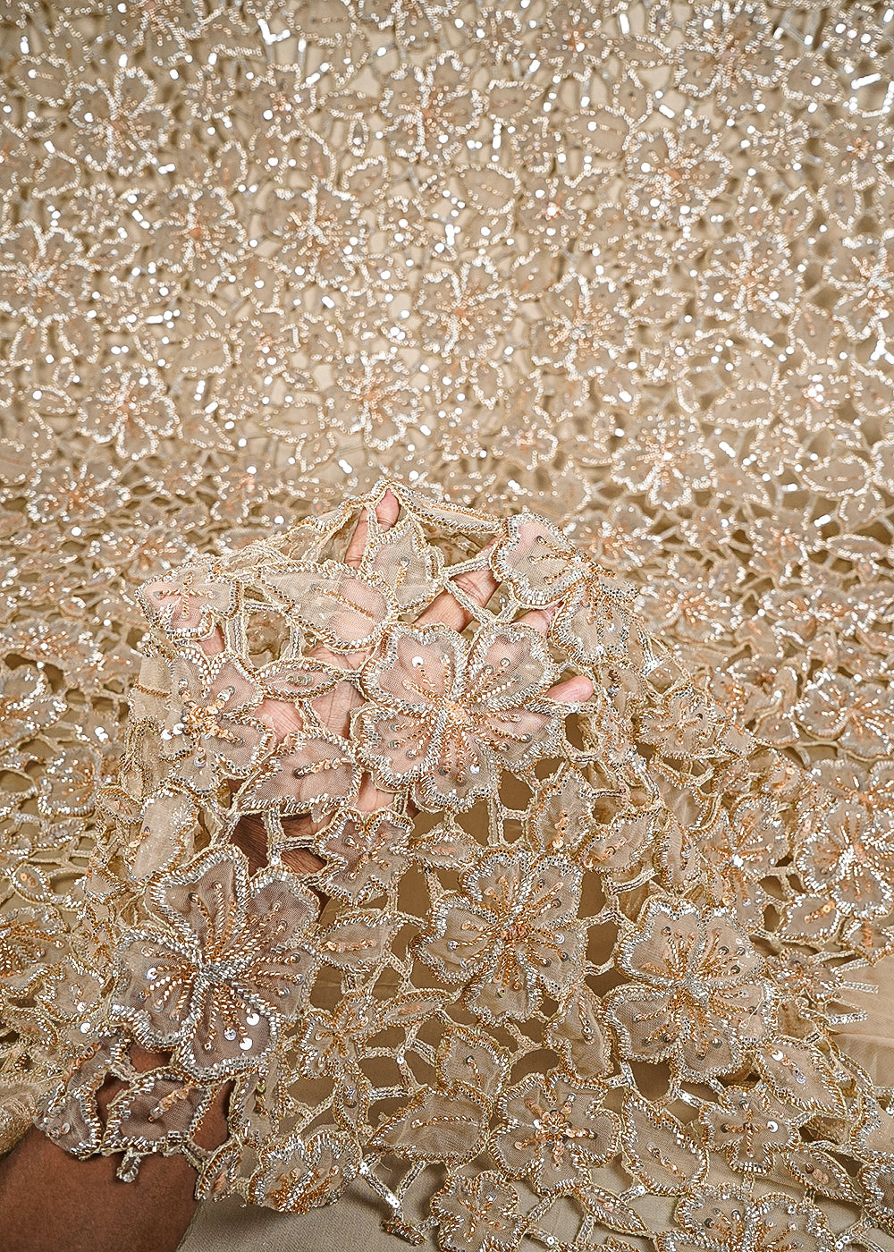Beige Imported Net Fabric With All Over Sequins, Katdana And Laser Cutwork 24996