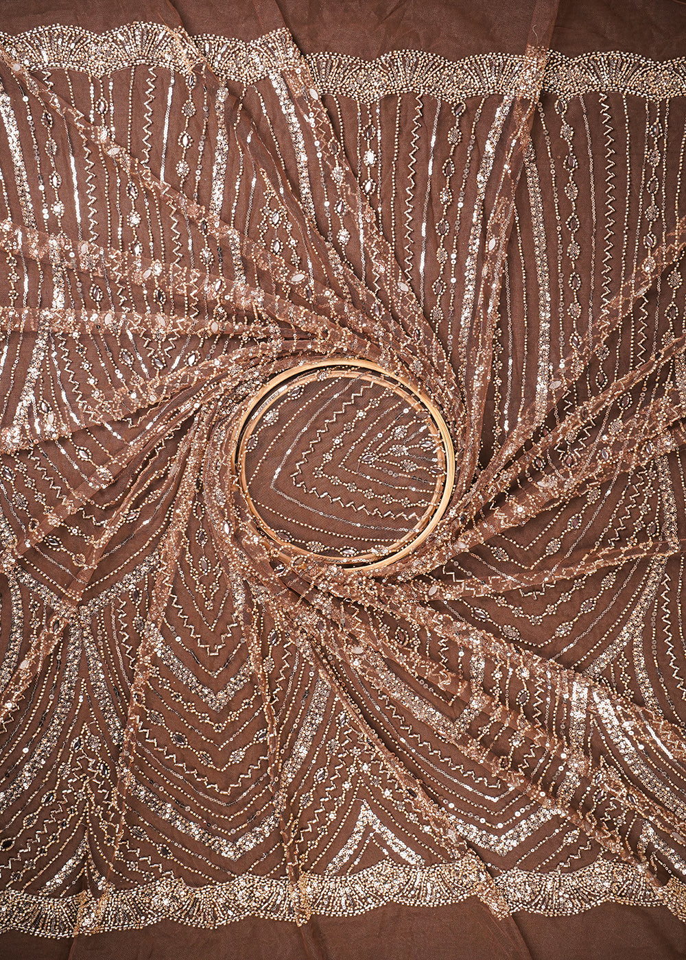 Brown Imported Net Fabric With All Over Sequins, Katdana And Stone Work 25594