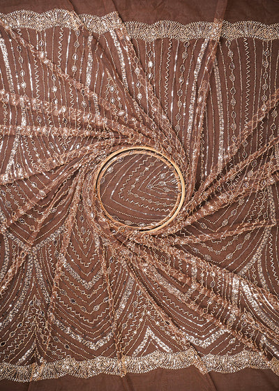 Brown Imported Net Fabric With All Over Sequins, Katdana And Stone Work 25594