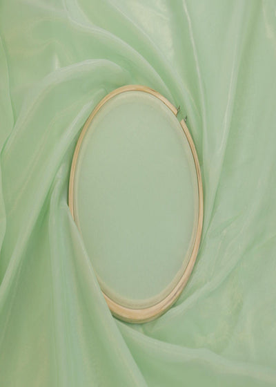 Pastel Green Coloured Glass Organza Fabric 7447(22)