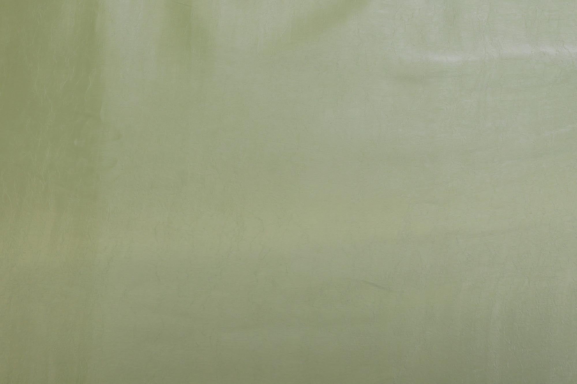 Pista green coloured silk crushed texture fabric