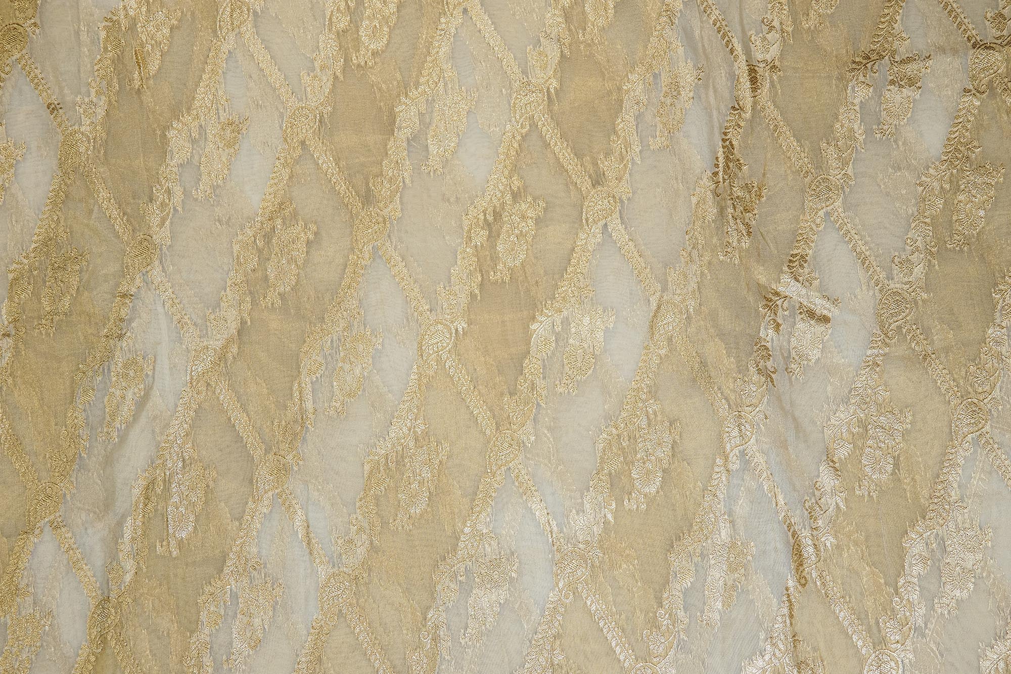 Golden Tissue Fabric With Intricated Banarasi work