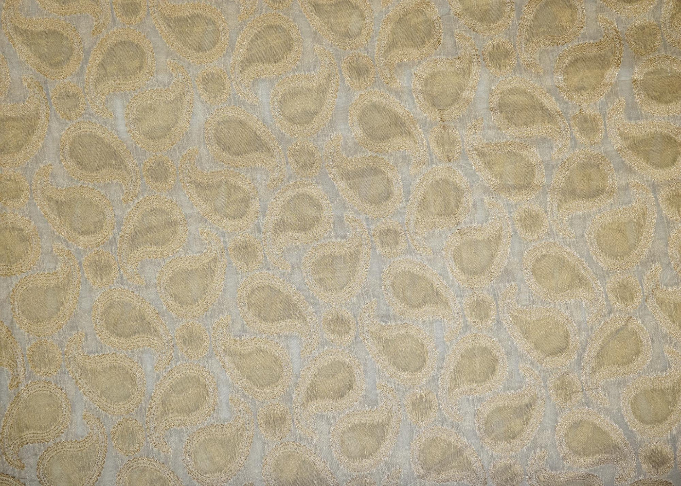 Golden Tissue Fabric With Intricated Banarasi work