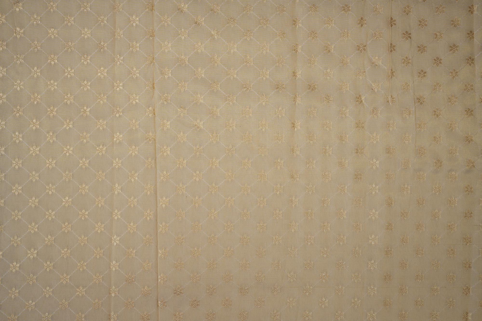 Golden Tissue Fabric With Intricated Banarasi work