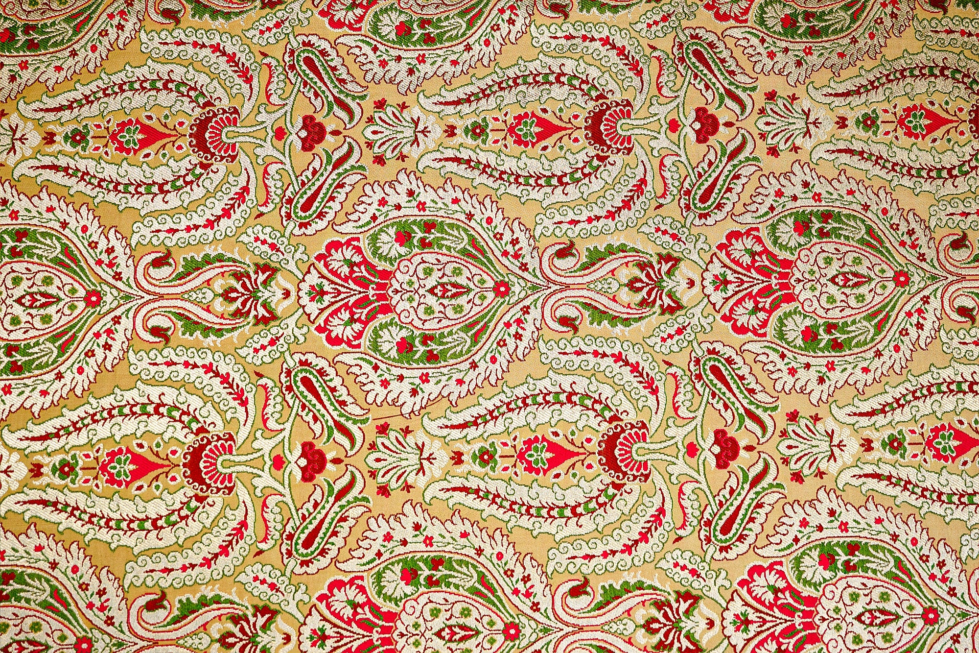 Golden Banarasi Brocade with Beautiful Traditional Print