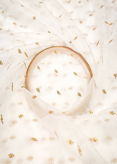 The Noor - White Organza With Timeless Golden Buti of Sequins 12302