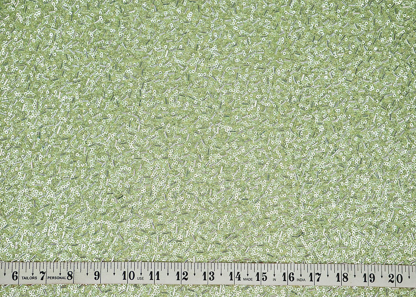 The Noor - Pastel Green Georgette Fabric With Classic Bead And Sequins Work | 16319