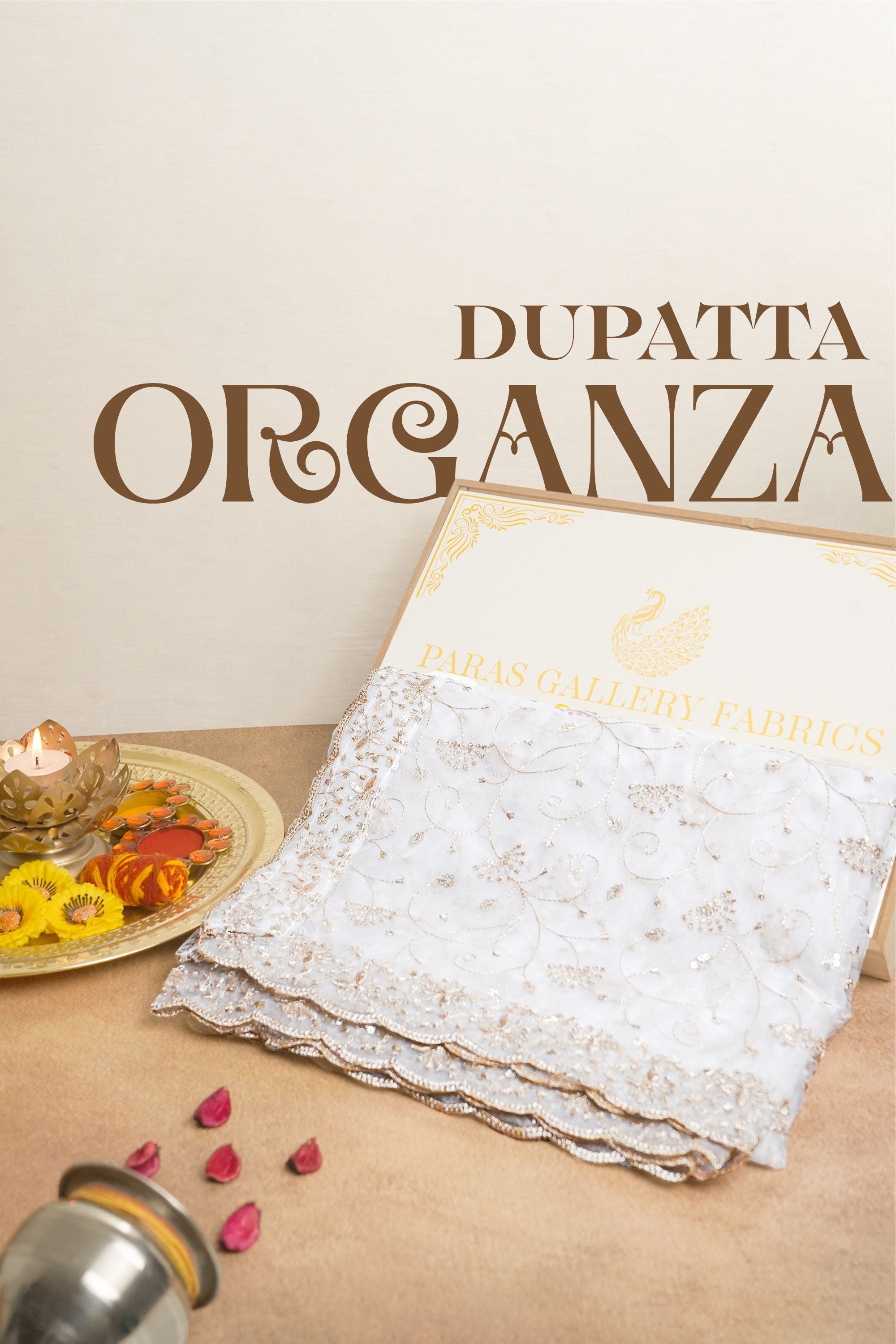 White Dyeable Organza Dupatta All Over Zari And Sequins Work 19293
