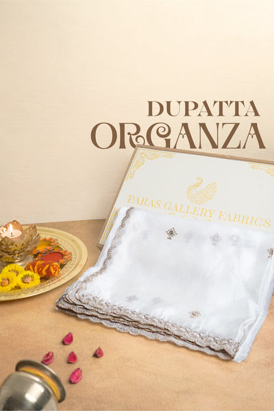 White Dyeable Organza Dupatta All Over Zari, Sequins And Faux Mirror Work