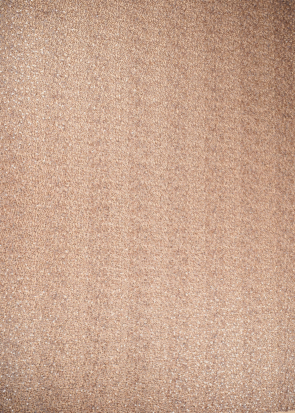 Brown Imported Net Fabric with Allover Sequins and Bead Work 19752