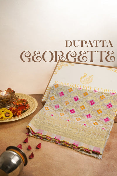 White Dyeable Banarasi Georgette Dupatta All Over Zari Work 20408