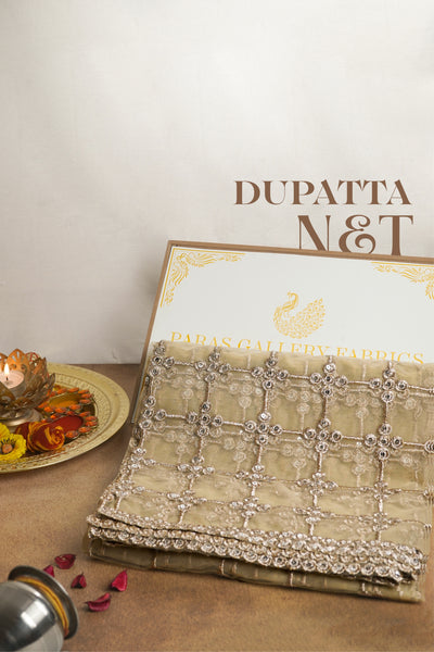 White Net Dupatta With All Over Sequins And Zari Work 20474