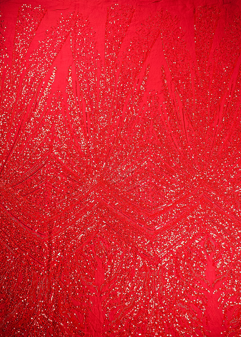 Red Georgette Fabric With All Over Sequins And Bead Work With With One Side Heavy Border 20549