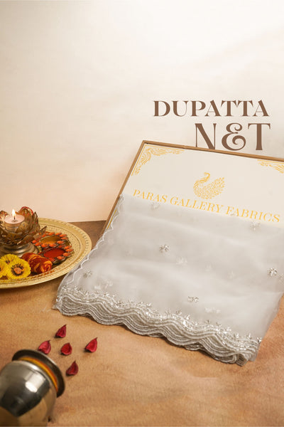 White Dyeable Net Dupatta All Over Silver Sequins And Katdana Work 22521