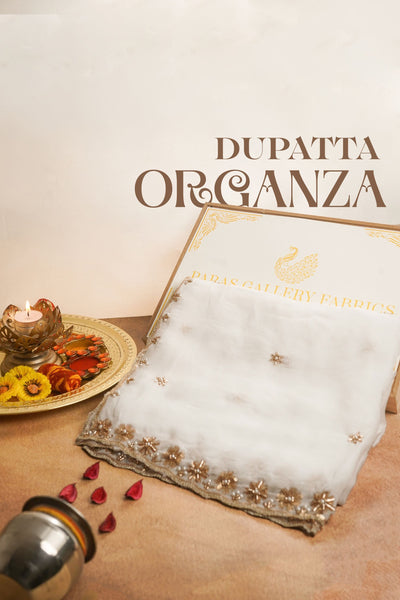 White Dyeable Organza Dupatta All Over Sequins, Katdana And Bead Work 22787