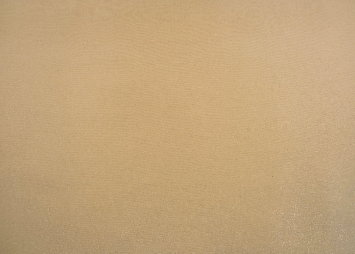 Light Cream Colored Organza Satin Fabric 23212(114)
