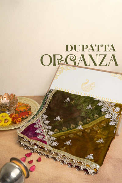 Multi-Color Organza Dupatta With All Over Sequins And Zari Work 23606