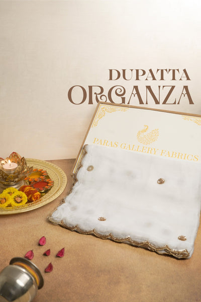 White Dyeable Organza Dupatta All Over Sequins And Katdana Work 23966