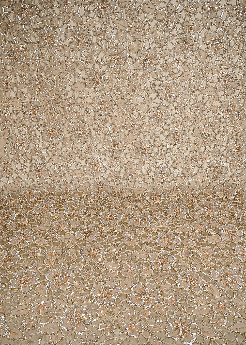 Beige Imported Net Fabric With All Over Sequins, Katdana And Laser Cutwork 24996