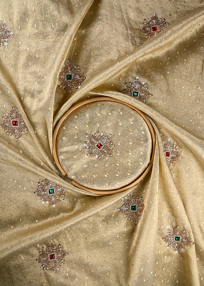 Beige Tissue Fabric With All Over Zari, Sequins, Katdana And Stone Work 25464