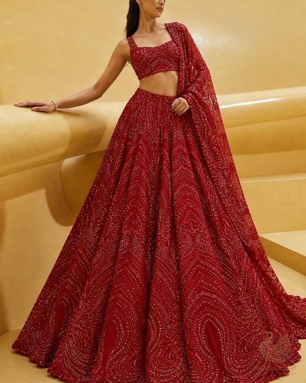 Red Imported Net Fabric With All Over Thread, Sequins And Katdana Work 25514