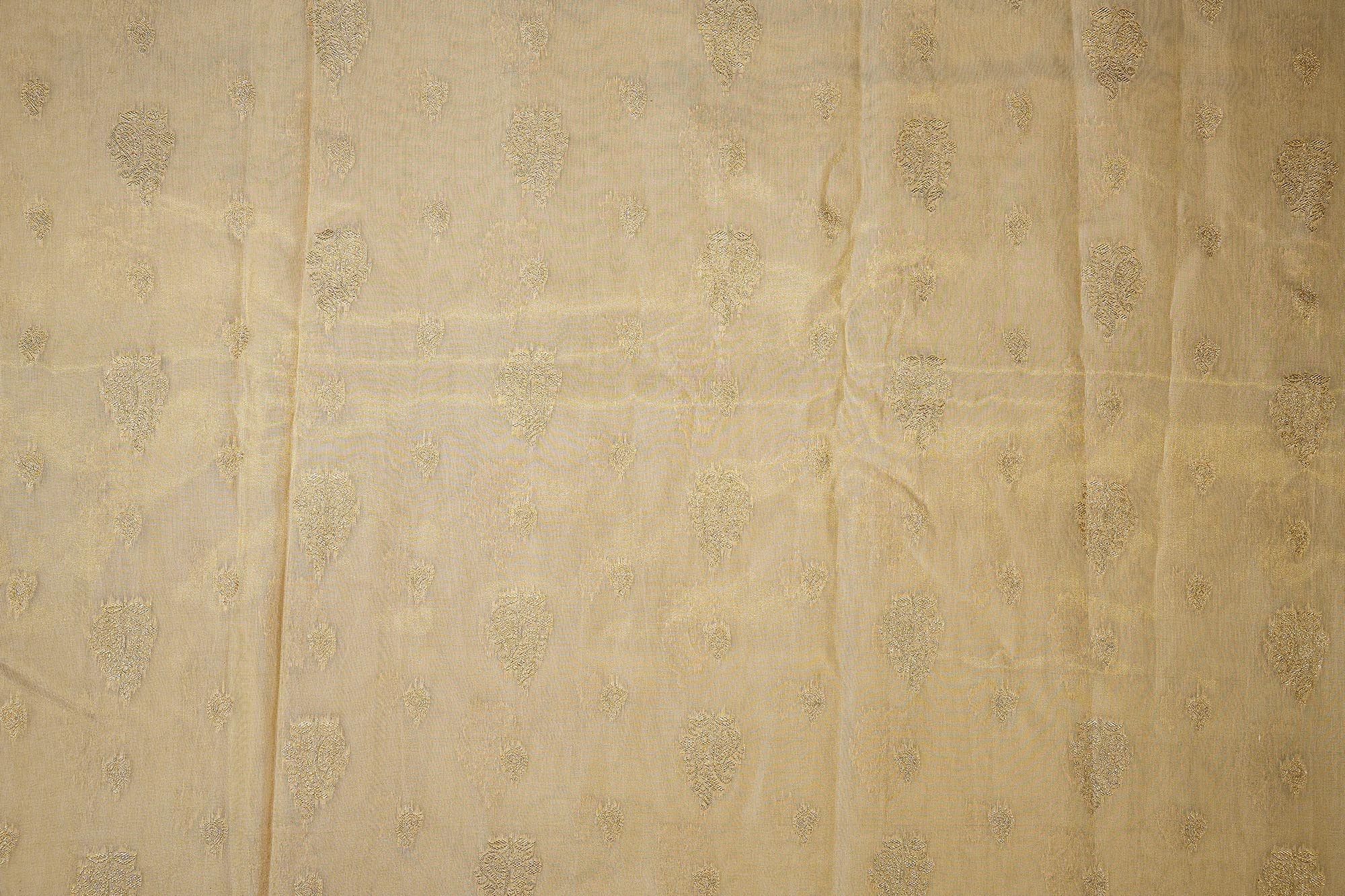 Golden Tissue Fabric With Intricated Banarasi work