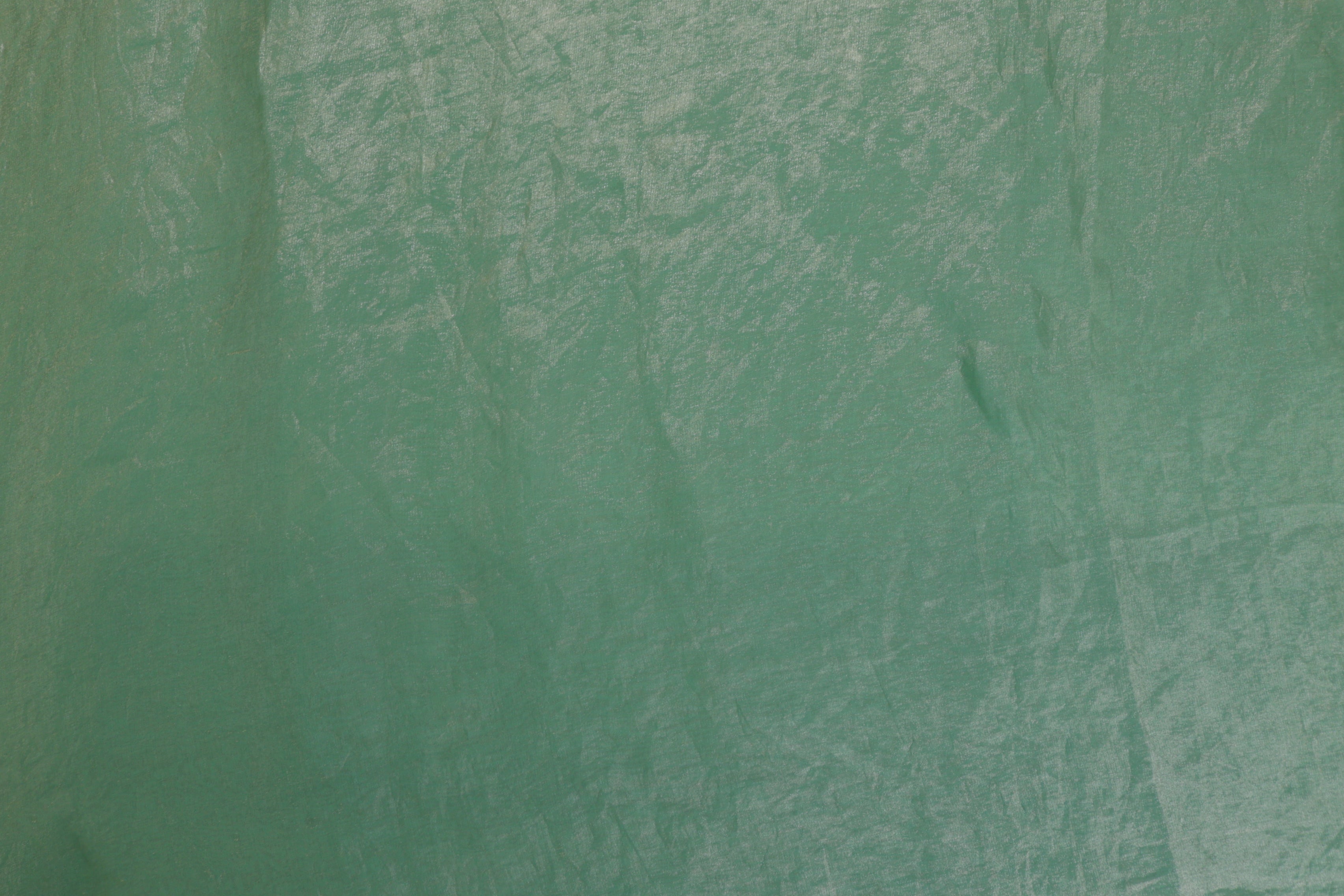 Mint green coloured diamond tissue fabric